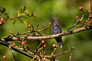 《流放之路2》PS5 25分钟沙发合作实机 打击感强烈